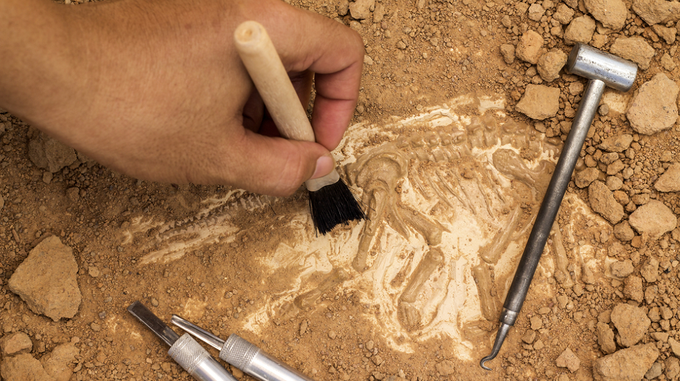 archaeology brush sand tools stones